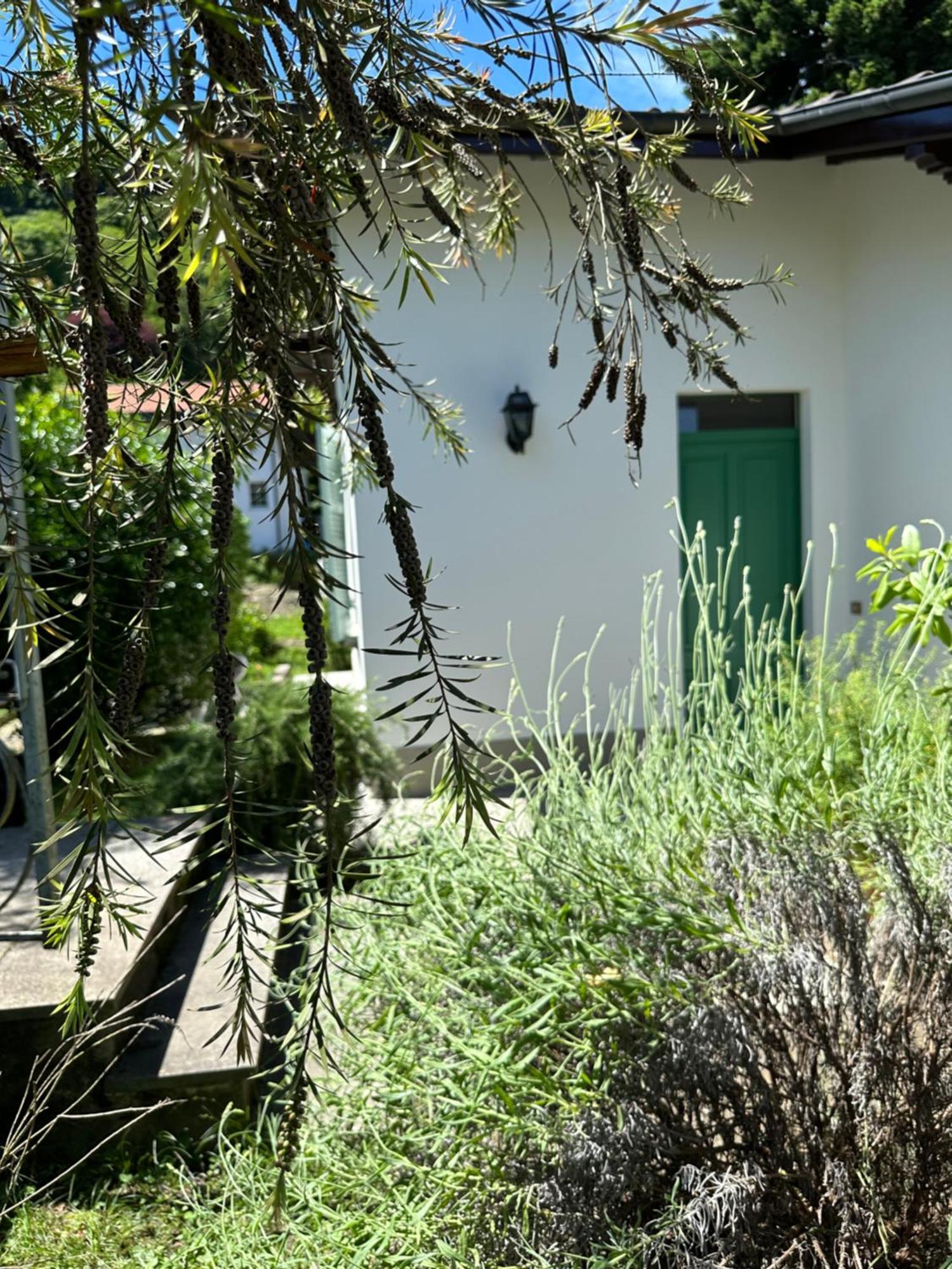 Casa Del Custode: Renovated Flat With Garden In A Villa Near The Lake Stresa Dış mekan fotoğraf